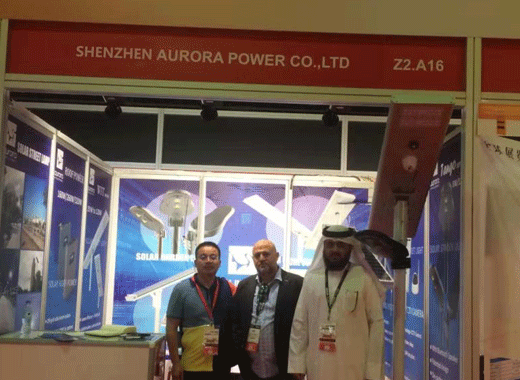 AURORA attend Middle East Electricity 2019 on solar led street lamp 
